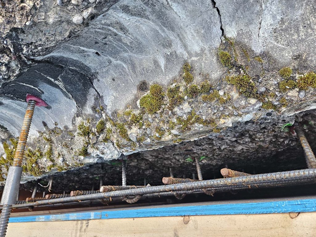 Old-Alexandra-Bridge12