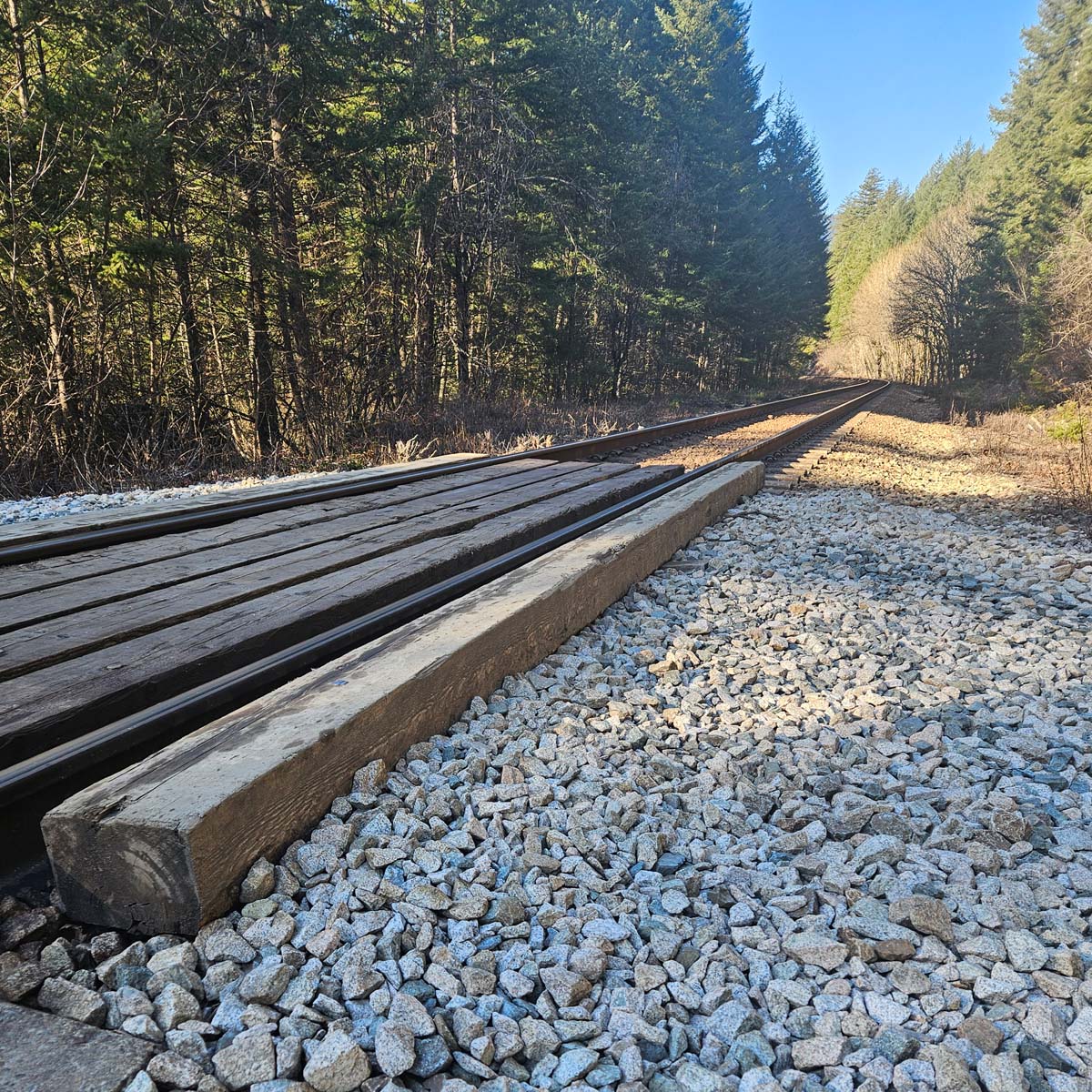 Old Alexandra Bridge
